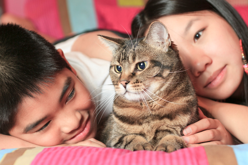 Couple with Cat