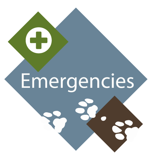 Emergencies Banner