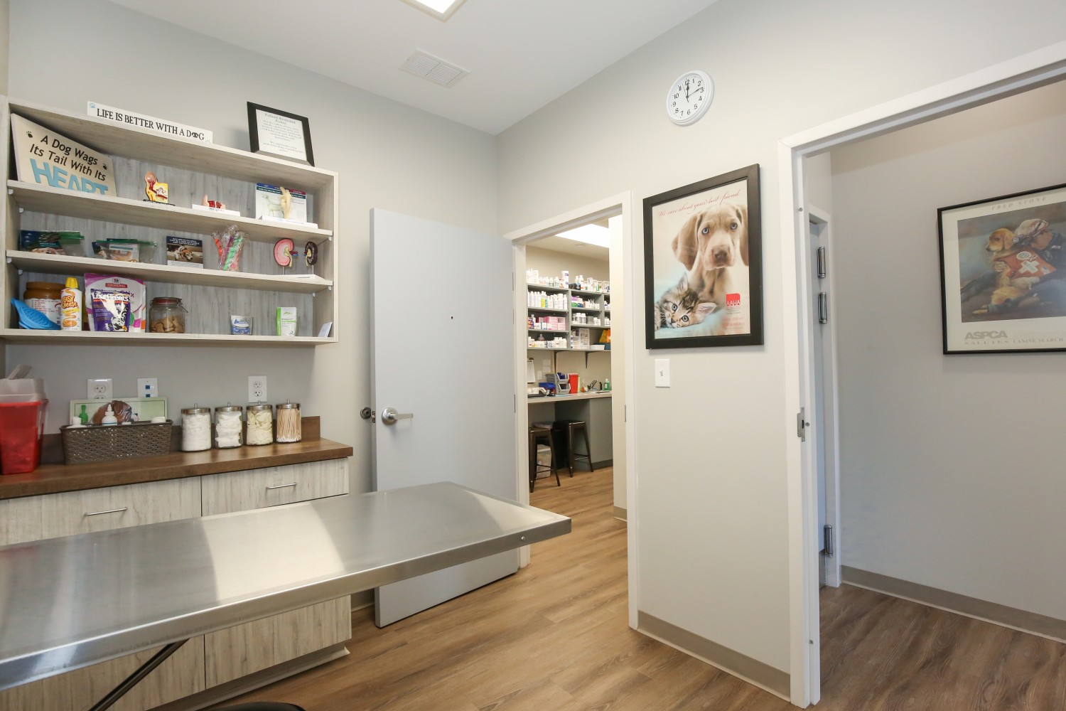 Canine Exam Room 2.2