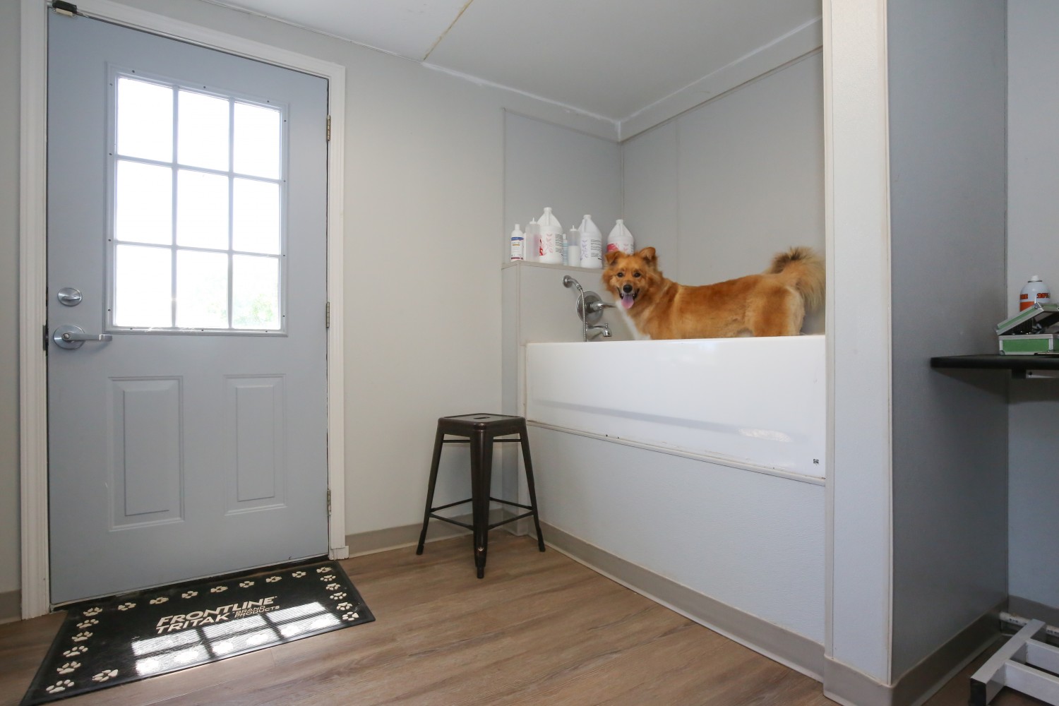Canine Grooming Room 2
