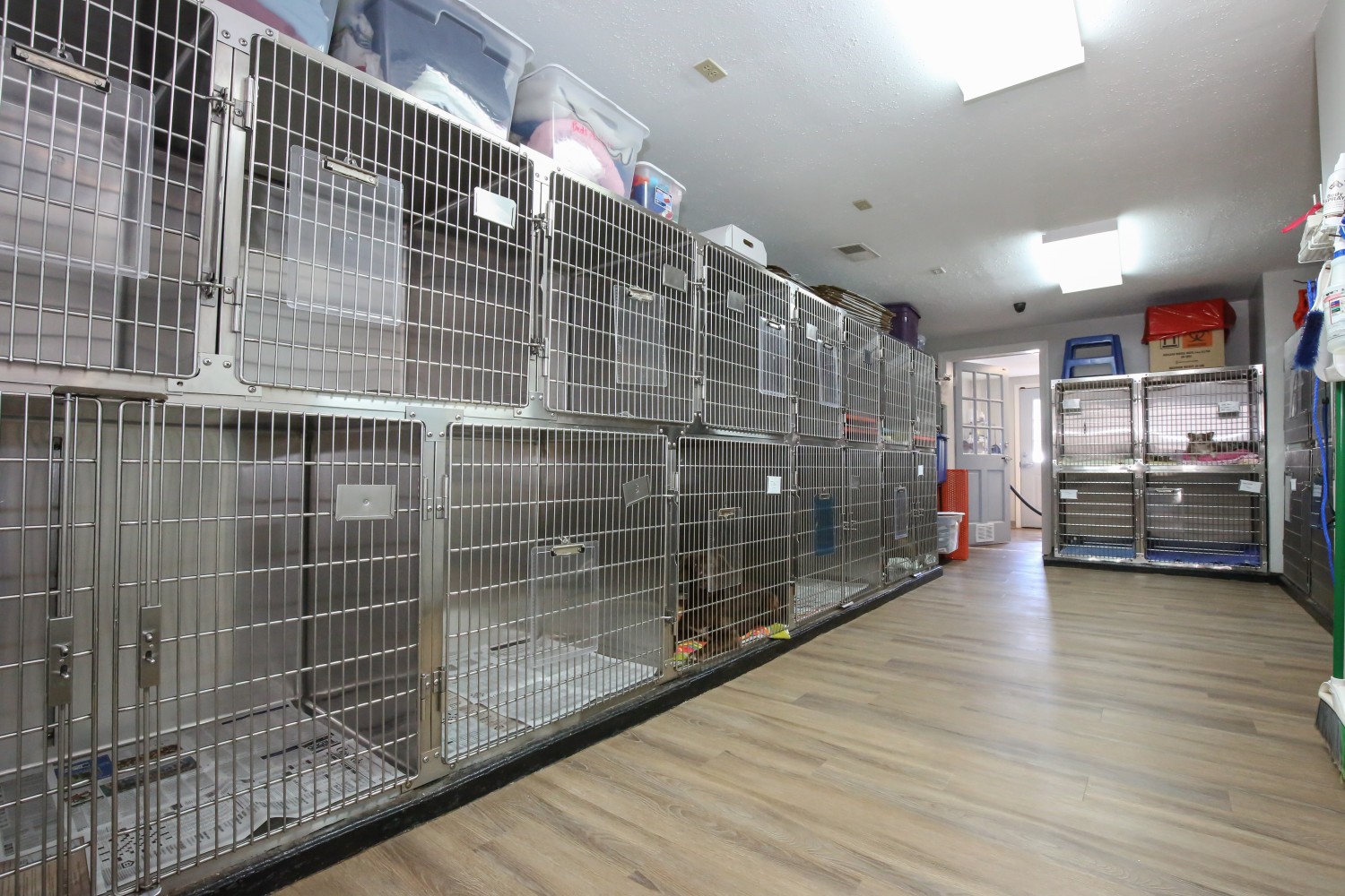 Canine Boarding Kennel